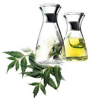 Neem Oil