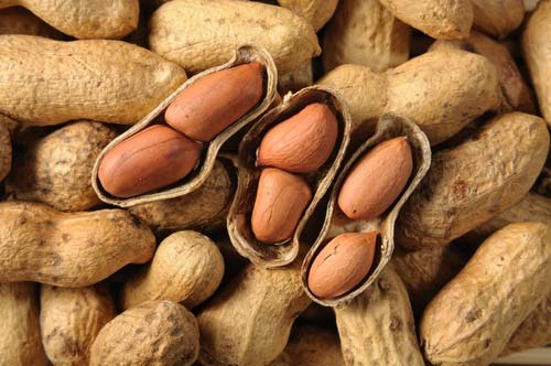 Shelled Groundnuts