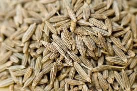 Cumin seeds, Shelf Life :1 Year