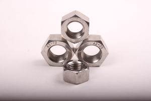 Stainless Steel Hex Nuts
