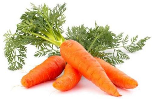 Fresh carrot, Shelf Life : 15 Days