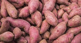 Fresh Sweet Potato