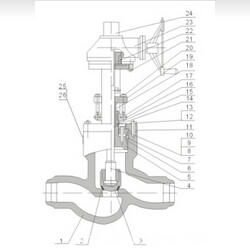 Plug Type Disc Pressure Seal Globe Valve