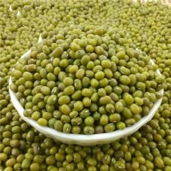 Green mung beans