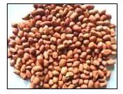 Groundnut, Origin : Harvested From Peanut Plants