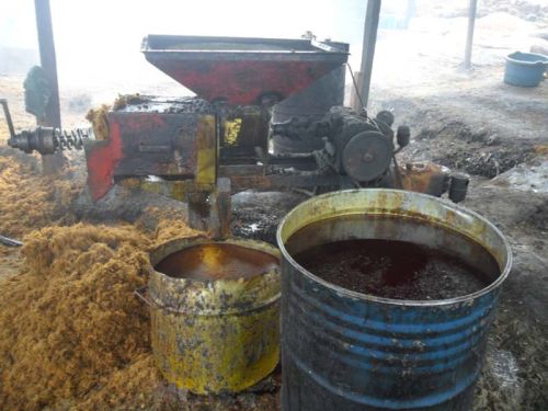 Crude palm oil, Storage : Cool & Dry Place