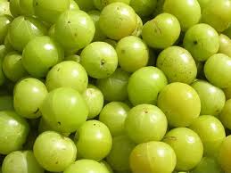 Fresh Amla, Packaging Size : 5-20kg