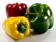 Fresh Capsicum, Quality : A Grade