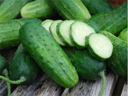 Fresh Cucumber,fresh Cucumber