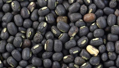 Black Urad Dal