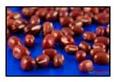 Adzuki Beans