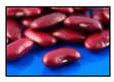 Red kidney beans