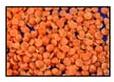 Red Split Lentils