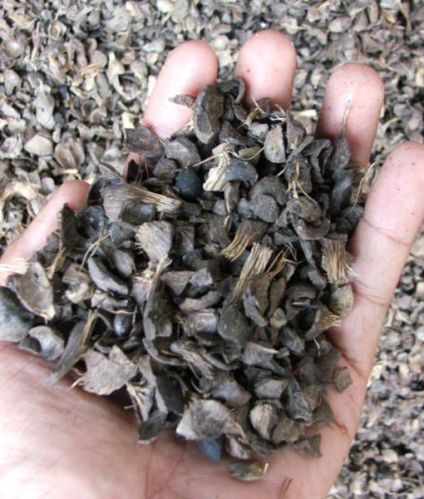 Palm Kernel Shell, Certification : ISO, SGS, HACCP for fire