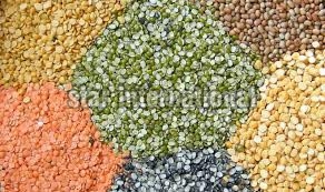 Indian Pulses