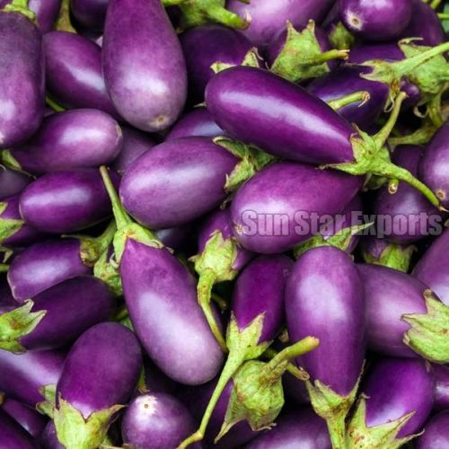 Fresh Brinjals