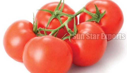 Tomato