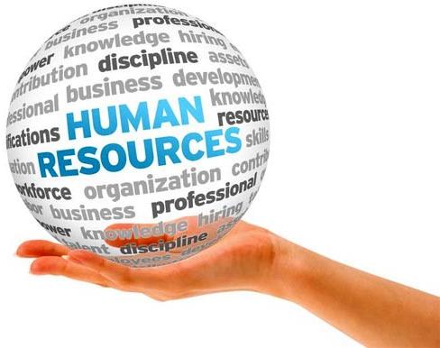 Human Resource Services