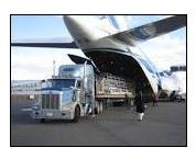 Air Freight Forwarding Services