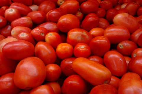 Tomato