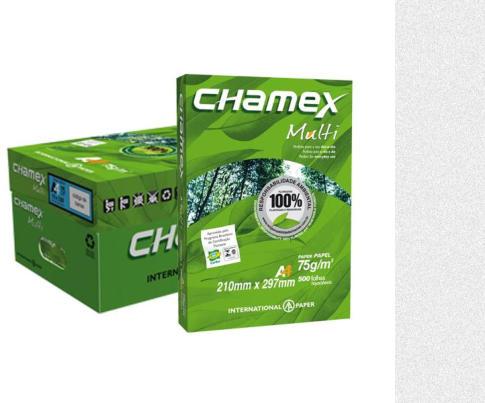 Copy Paper, Number Of Flower : Copier Paper