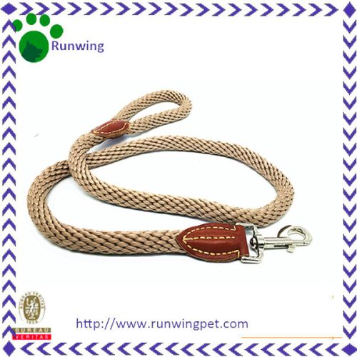 Unique Dog Leash Promotional Webbing Dog Leash