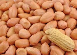 Groundnut, Packaging Size : 5kg, 50kg, 50gm, 500gm