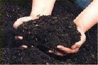 Bio Organic Manure