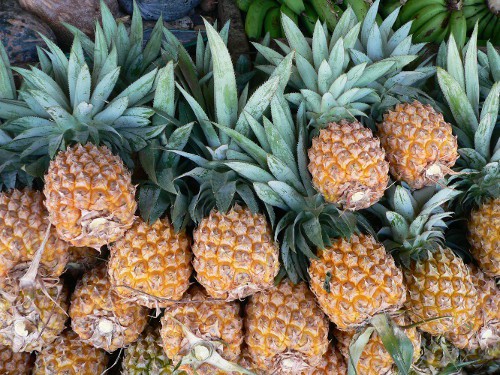 Fresh pineapple, Shelf Life : 3-5 Days