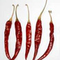 Teja Red Chili