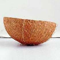 Coconut shell