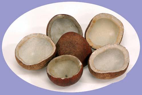 Dry Coconut