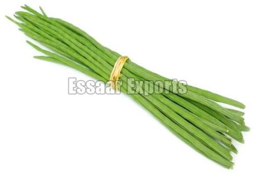 Organic Fresh Drumsticks, For Cooking, Feature : Eco-Friendly, Floury Texture, Good In Taste