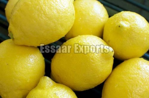 Organic Fresh Lemon, Taste : Sour