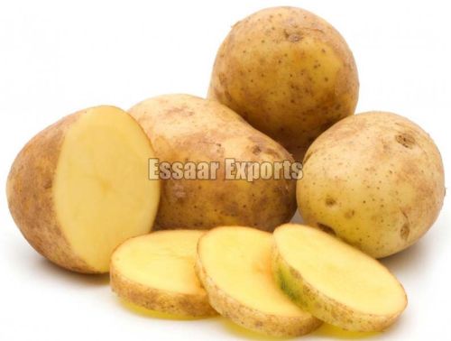 Round Organic Fresh Potato, For Cooking, Packaging Type : Jute Bag, Sack Bag