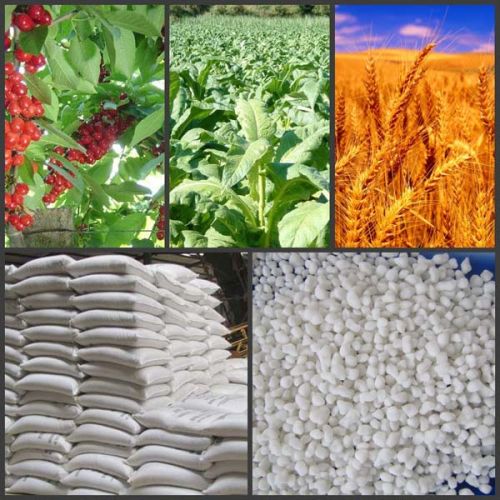 Ammonium Sulphate, Packaging Size : 20 kg