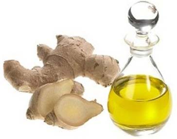 Ginger Oil, For Cooking, Medicine, Packaging Type : Glass Bottles, Glass Jar, Plastic Bottles