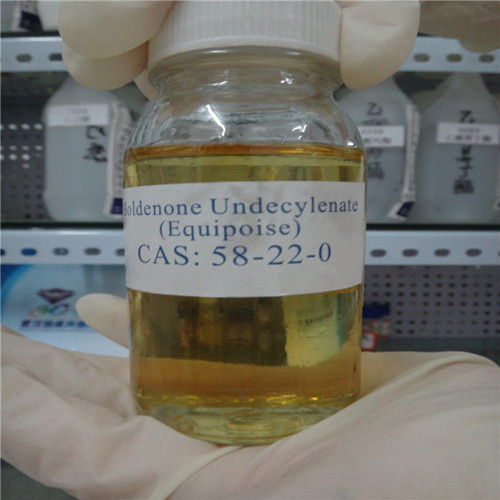 Boldenone Undecylenate (Steroids) Equipoise