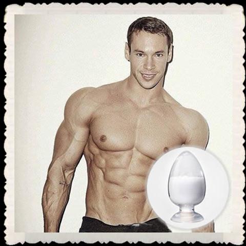 Clostebol Acetate Steroids