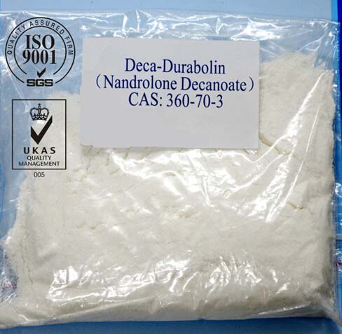 Powder Nandrolone Decanoate Steroids for pharmaceutical material