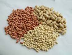 Groundnuts