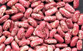 Red Speckled Kidney Beans