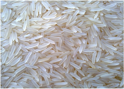 1121 White Sella Rice