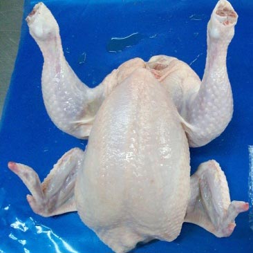Fresh Frozen Chicken
