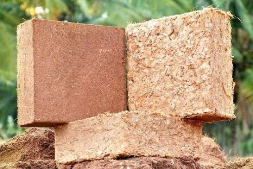 Coco Peat Brick