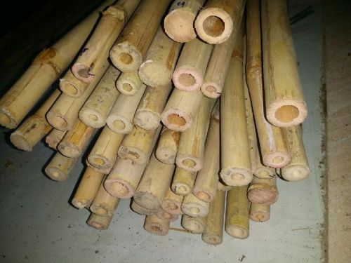 Bamboo poles, Packaging Type : natural