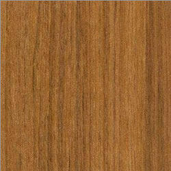 Teak Wood