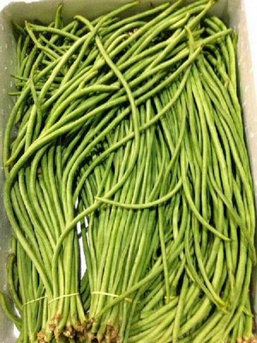 Organic Fresh Green Beans, For Cooking, Feature : Good For Health, Non Harmful