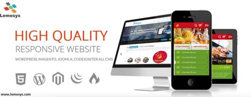 Website Development Service