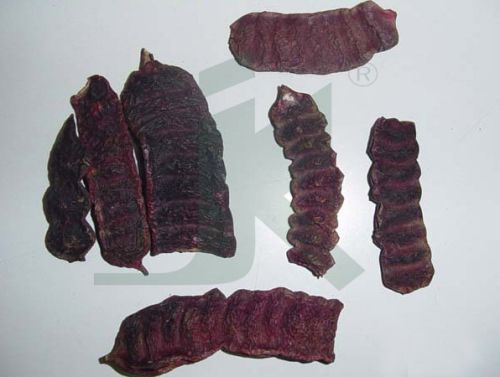 ACACIA CONCINNA EXTRACT (Shikkai Extract)